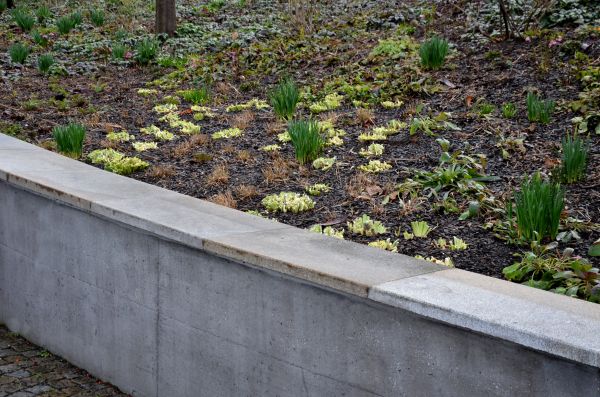 Concrete Wall Construction in Powell