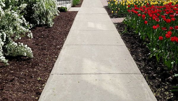 Cost of Sidewalk Slab Replacement in Powell