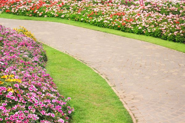 Concrete Walkway Service in Powell